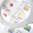 Лупа универсальная гибкая с LED-подсветкой MG3132