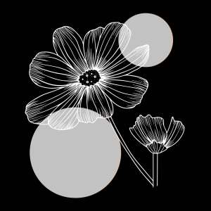 Термоналіпка принтована NATOBIPRINT (18х18 см.) П329