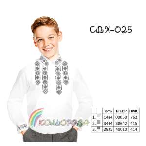 Сорочка дитяча (хлопчики 5-10 років) СДХ-025