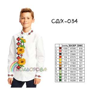 Сорочка дитяча (хлопчики 5-10 років) СДХ-034