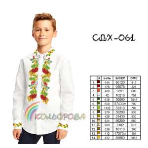 Сорочка дитяча (хлопчики 5-10 років) СДХ-061