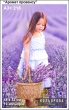 A3+ Embroidery Pattern 218 "Aroma of Provence"