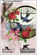 A3+ Embroidery Pattern 226 "Messengers of Prosperity"
