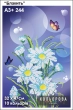 Embroidery kit A3+ format 244 "Blakit"