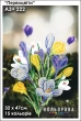 Картина для вышивки формата А3 + 222 "Первоцветы"