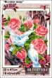 Картина для вышивки формата А3 + 224 "Вестники мира"