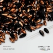 Preciosa CHILLI (4х11 мм) 23980/27137