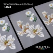 Термонаклейка А-3 (29х38 см.) А3 Т-024