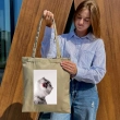 Термоналіпка принтована NATOBIPRINT (22х33 см.) П41