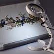 Foldable magnifying glass with LED lighting NO.FS75RS