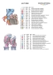 Термонаклейка А-3 (29х38 см.) А3 Т-041