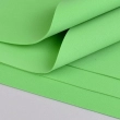 Foamiran 20x30 cm F-05 (green)