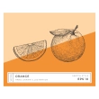 Printed Thermal Label NATOBIPRINT (15x18 cm) P282