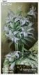 A3+ Embroidery Kit 014 