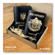 Set of covers: military ID and passport