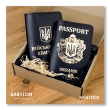 Set of covers: military ID and passport