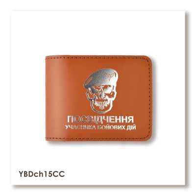 Cover for Combatant ID "DShV Skull"