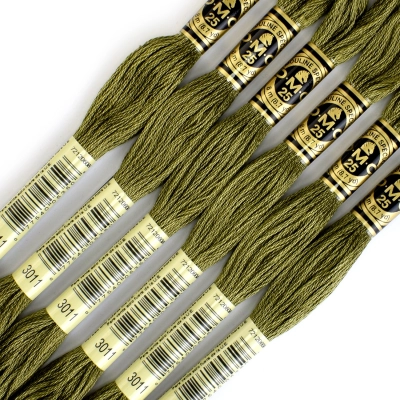 DMC Floss 3011