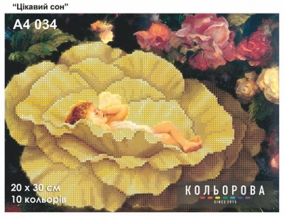 Картина для вишивки формату А4 034 "Цікавий сон"