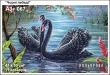 A3+ Embroidery Kit 067 "Black Swans"