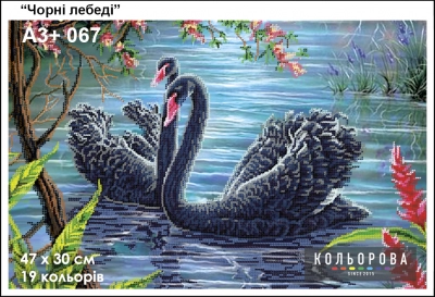 Картина для вишивки формату A3+ 067 "Чорні лебеді"