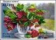 Картина для вишивки формату A3+ 076 "Багряна калина"