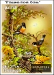 Картина для вышивки формата A4 149 "Птичья песня. Осень"